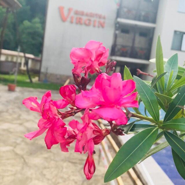 Family Hotel Virgin Ribarica Exterior foto