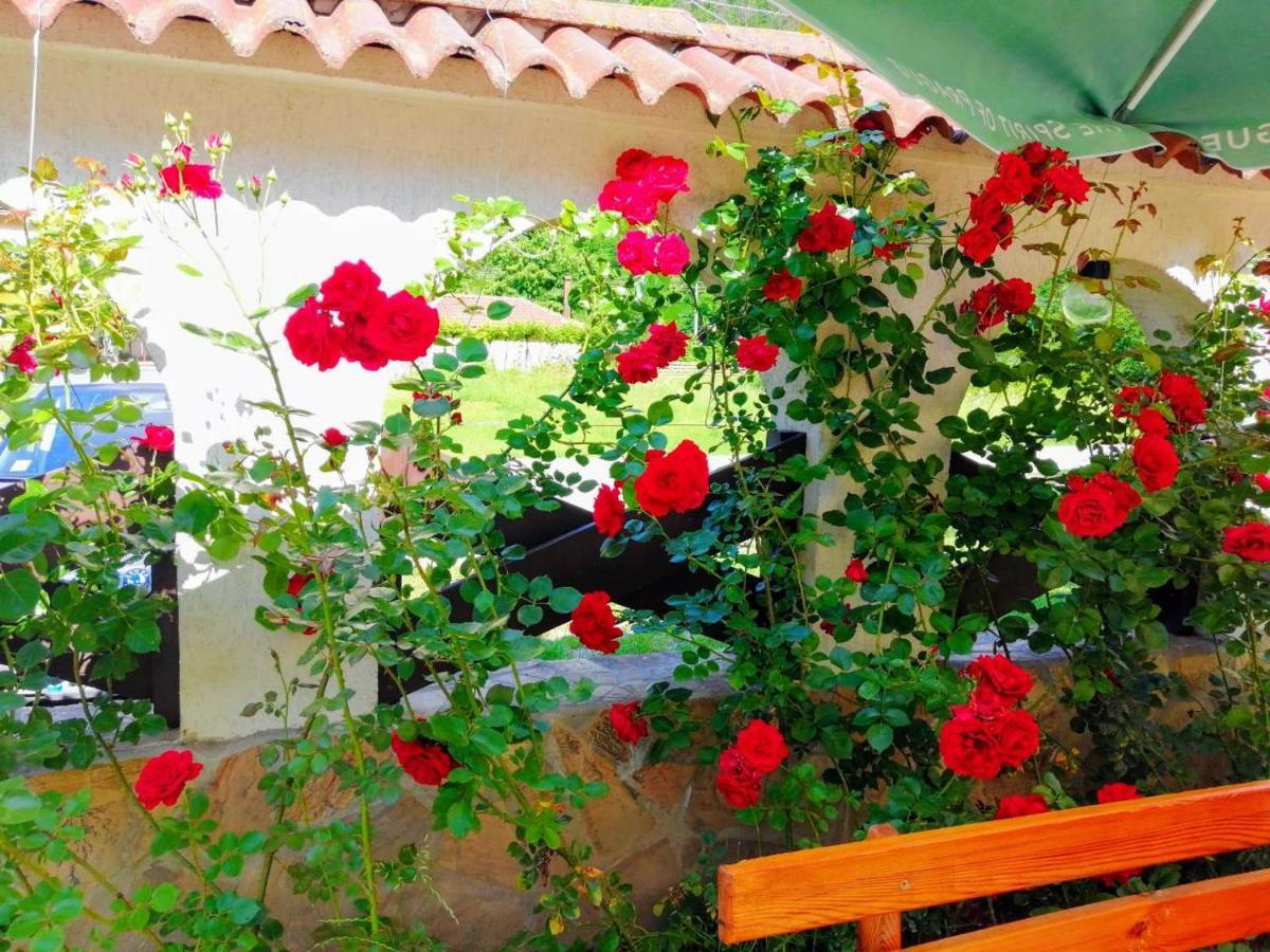 Family Hotel Virgin Ribarica Exterior foto